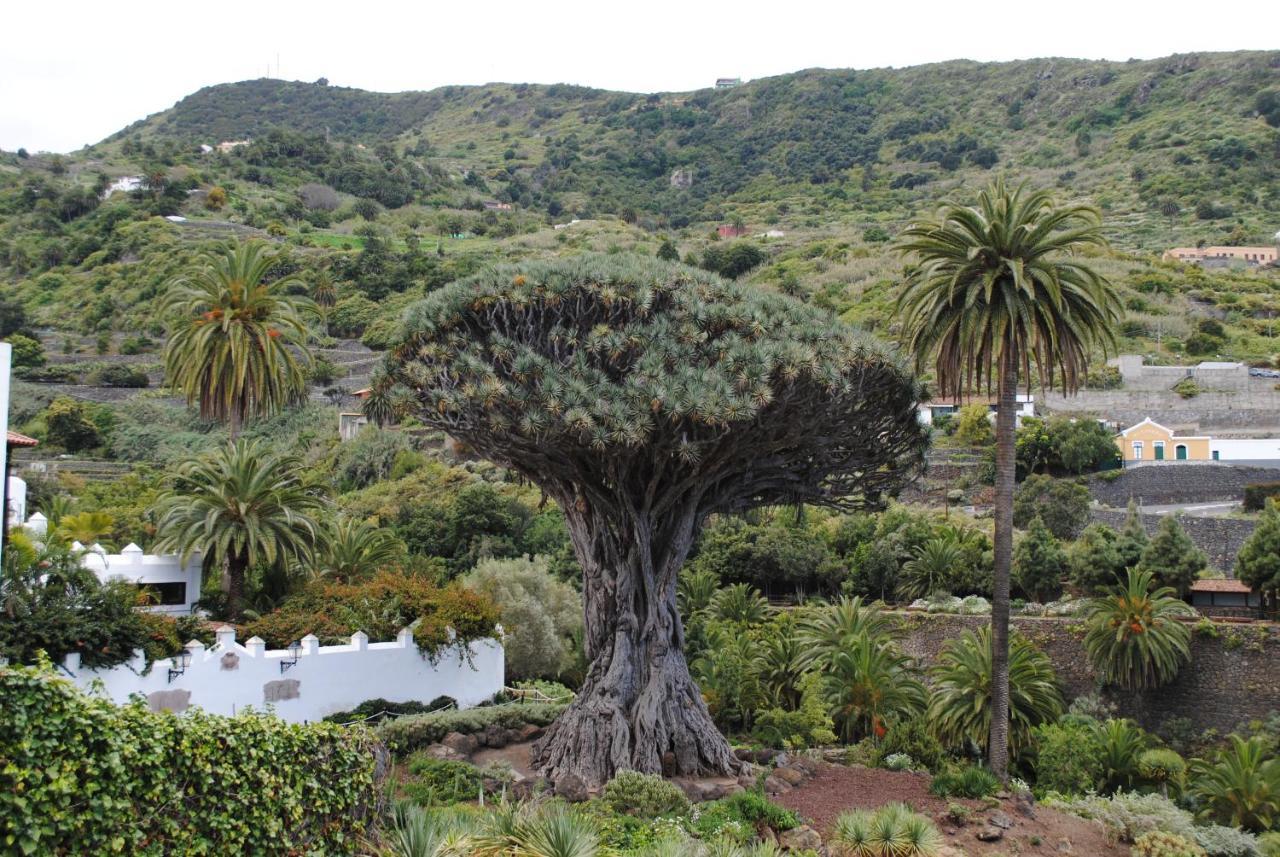 Luis Estudio Adeje Tenerife Sur By Hrtenerife Net Costa Adeje Dış mekan fotoğraf